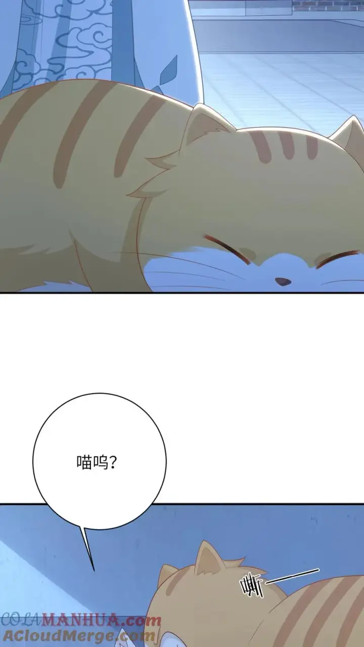 漫画《我出钱你出命，我俩一起神经病》第114话 臭晕夜辞！第15张图