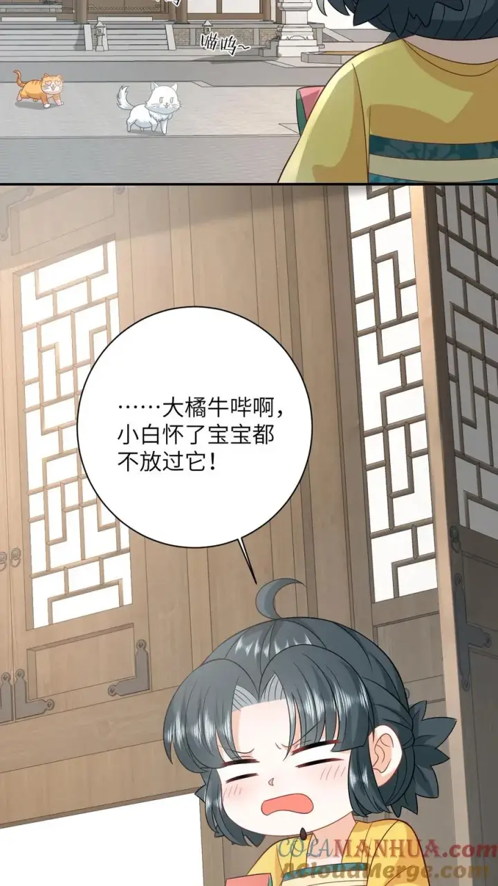 漫画《我出钱你出命，我俩一起神经病》第116话 新武器get第31张图