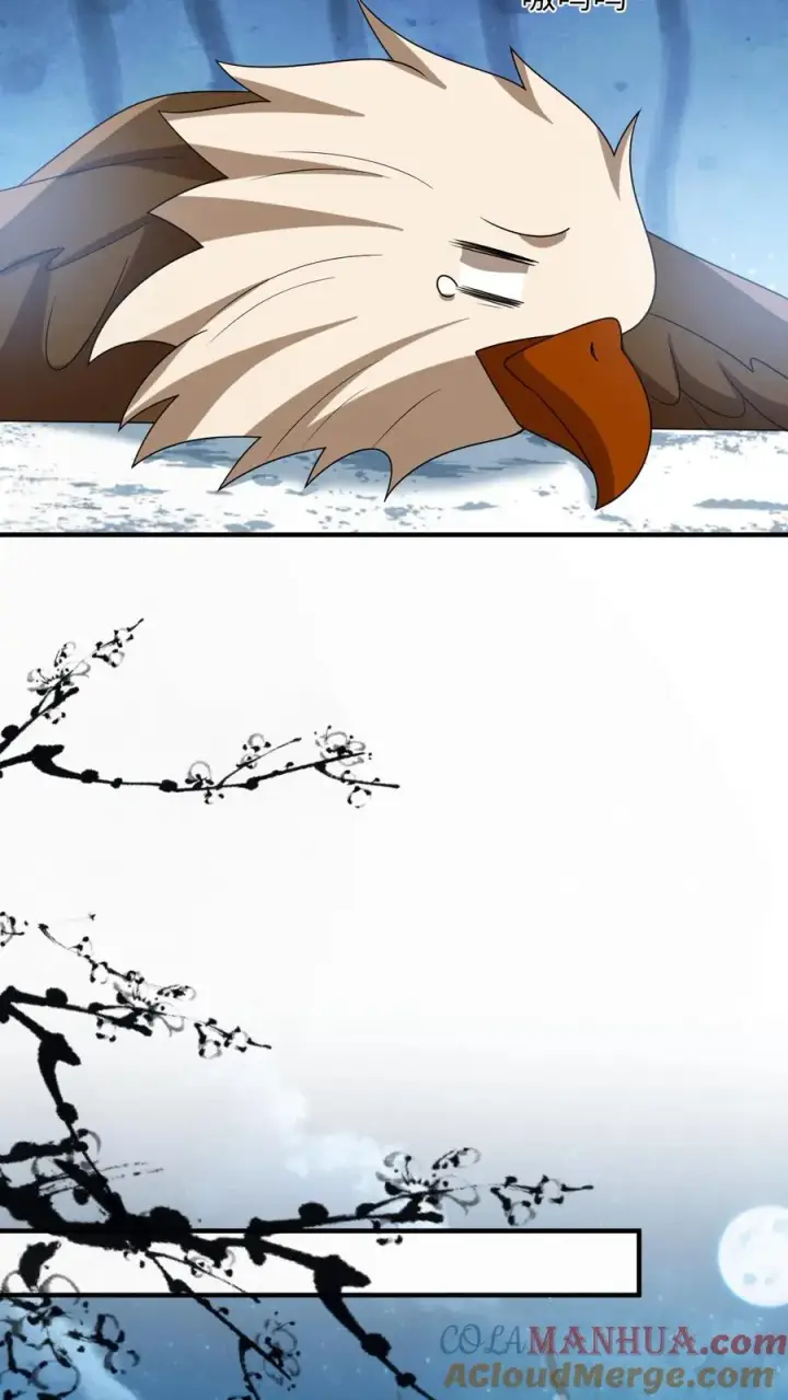 漫画《我出钱你出命，我俩一起神经病》第133话 初到南部第15张图