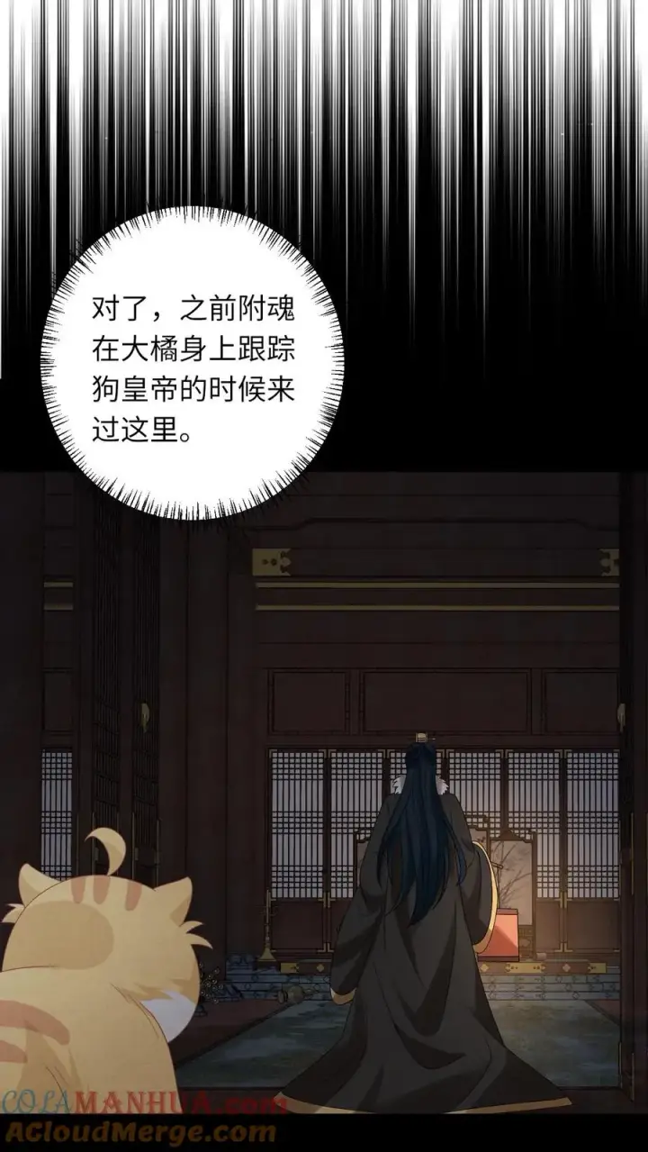 漫画《我出钱你出命，我俩一起神经病》第153话 骷髅王座第5张图