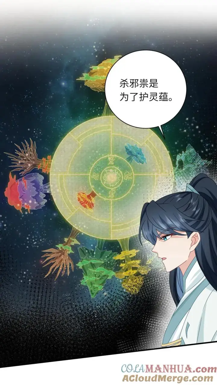 漫画《我出钱你出命，我俩一起神经病》第168话 不夜军的真相第13张图