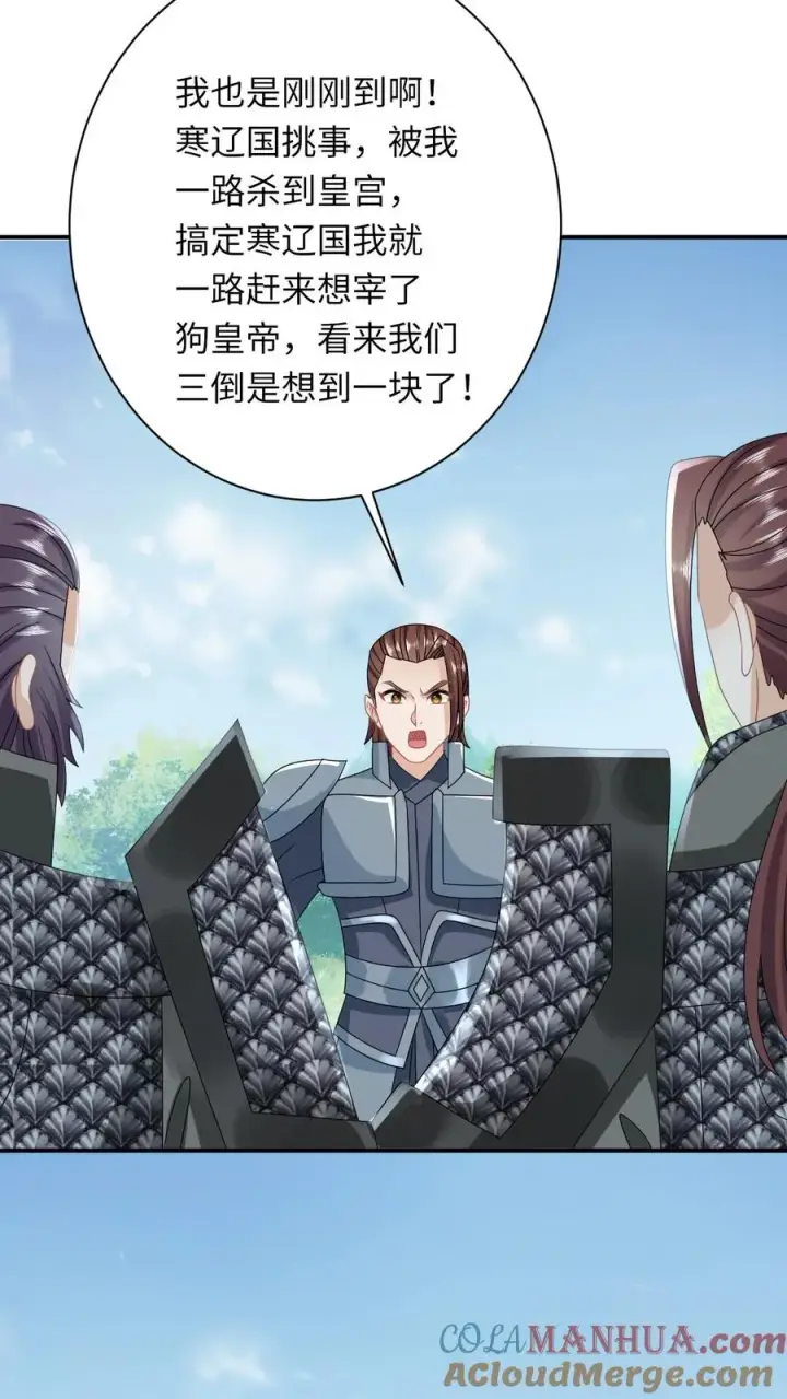 漫画《我出钱你出命，我俩一起神经病》第269话 严星渊登基第27张图