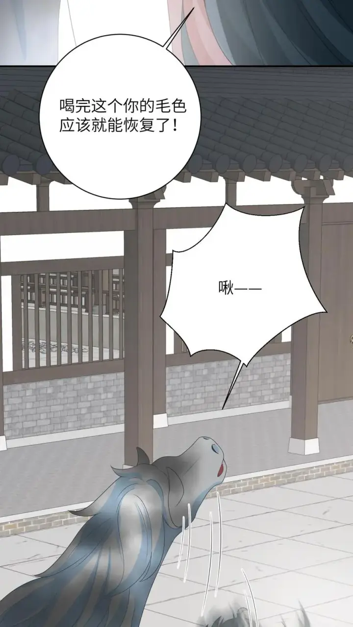 漫画《我出钱你出命，我俩一起神经病》第85话 北幽帝的阴谋第10张图