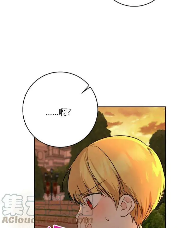 漫画《我的暴君变成小孩儿了》第29话第17张图