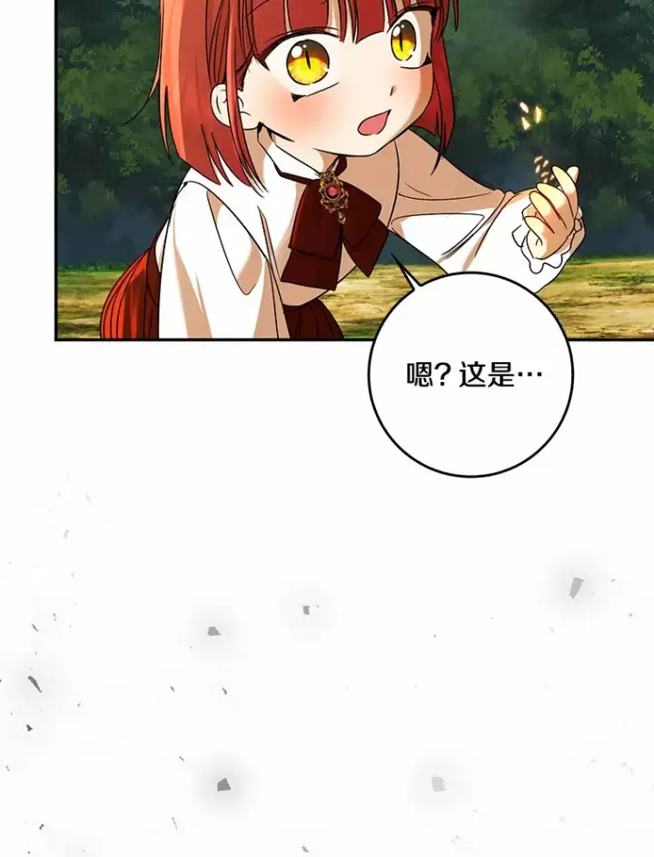 漫画《我的暴君变成小孩儿了》40.神秘的西卡勒第90张图