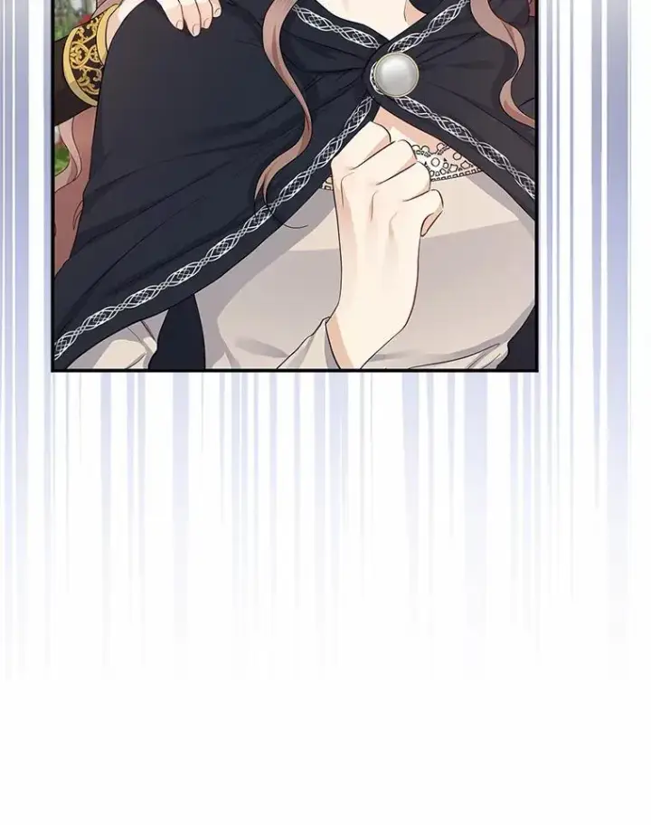 漫画《我的暴君变成小孩儿了》4.私生子第2张图