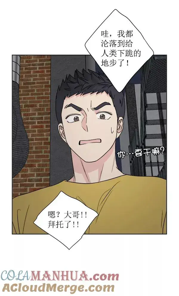漫画《我的妈妈是校花》第19话第55张图