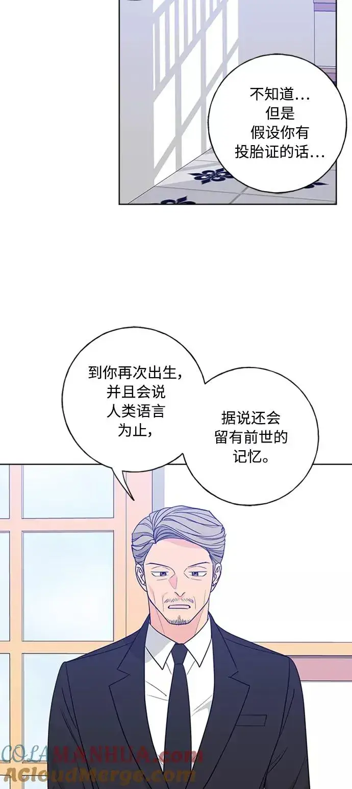 漫画《我的妈妈是校花》第98话第61张图