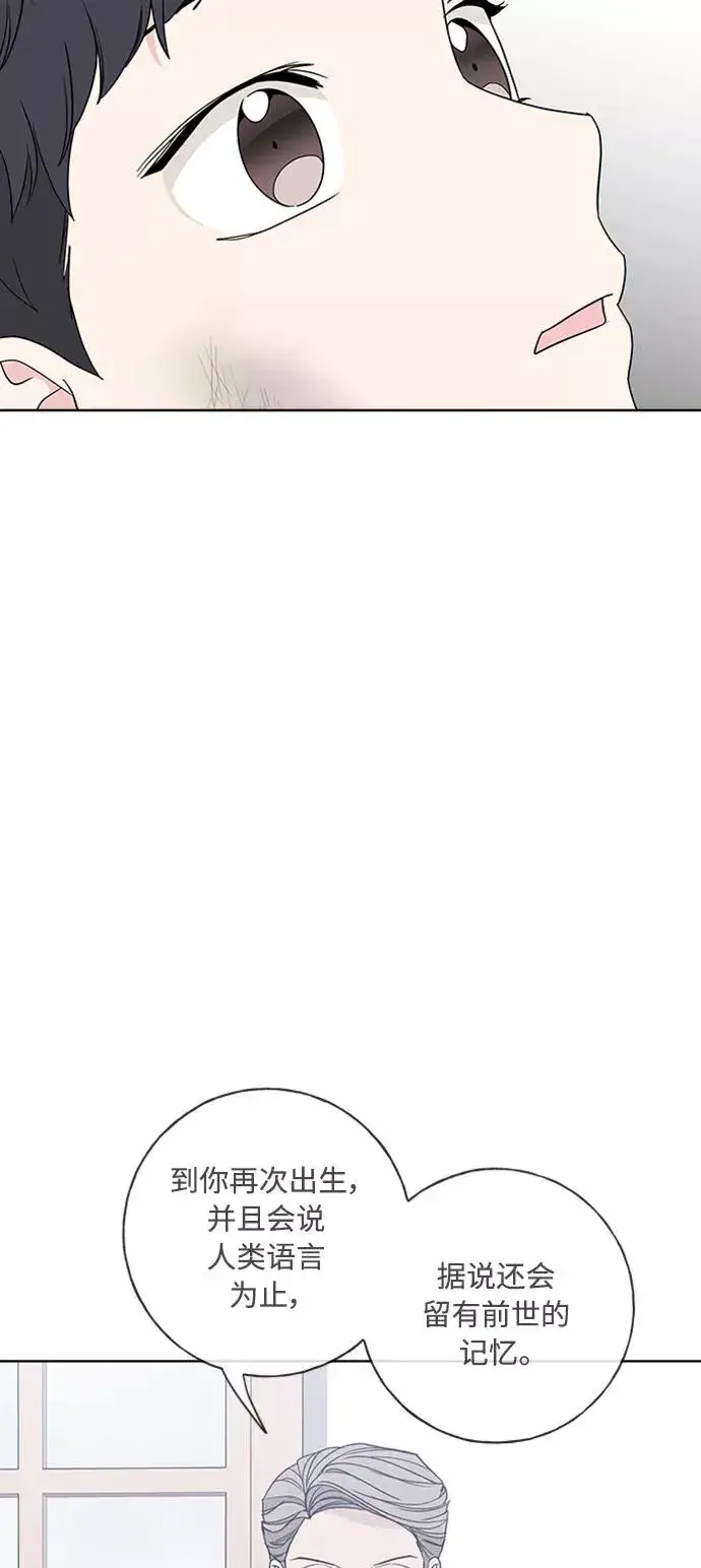 漫画《我的妈妈是校花》第100话第5张图