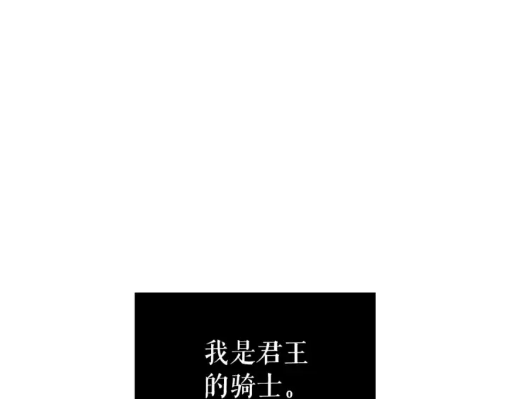 漫画《我独自升级》特别篇第8话 骑士第417张图