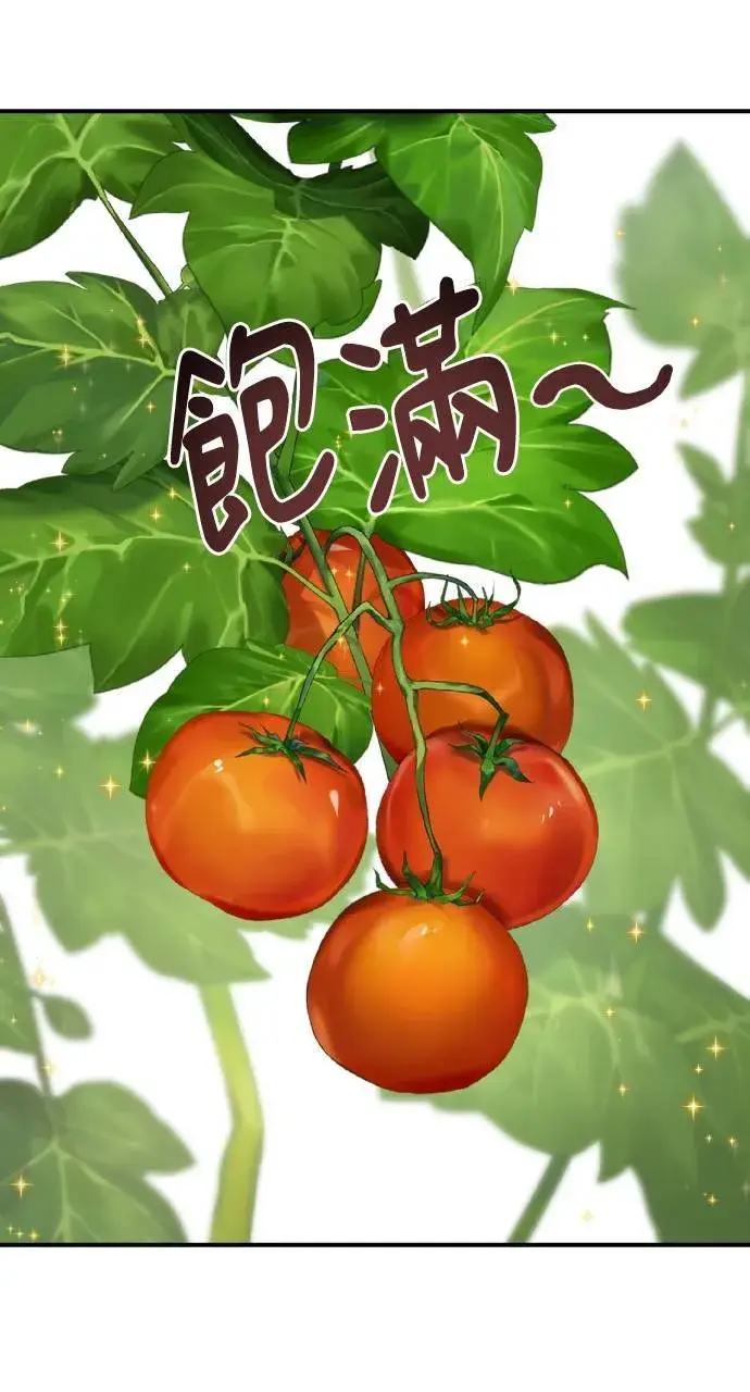 漫画《我独自在高塔种田》第6话 小番茄第44张图