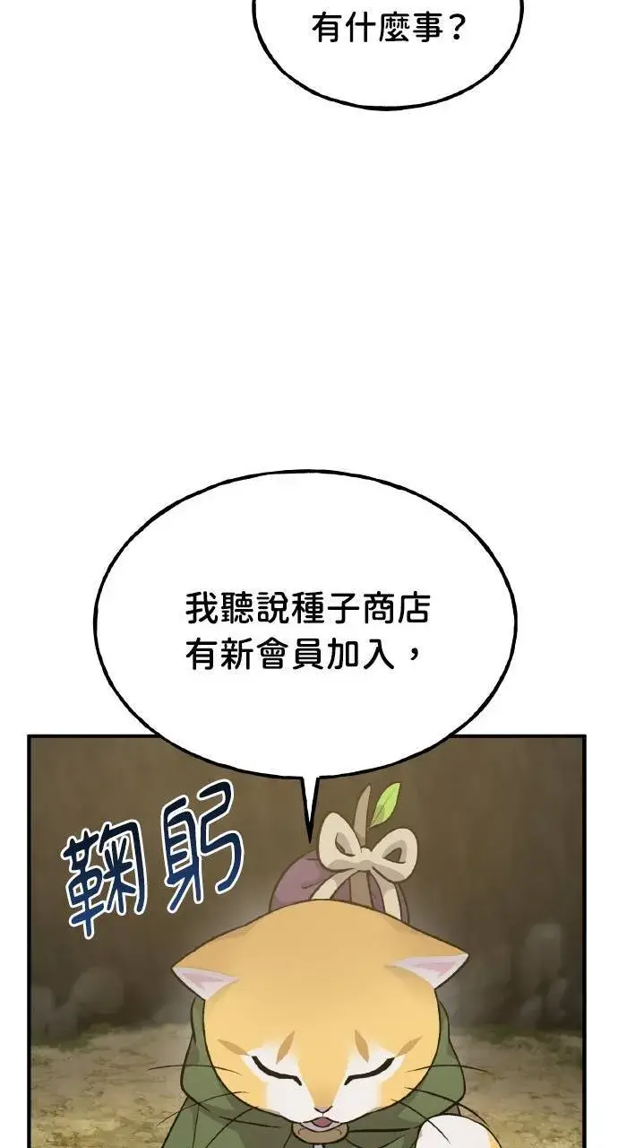漫画《我独自在高塔种田》第11话 猫咪流浪商人泰奥第10张图