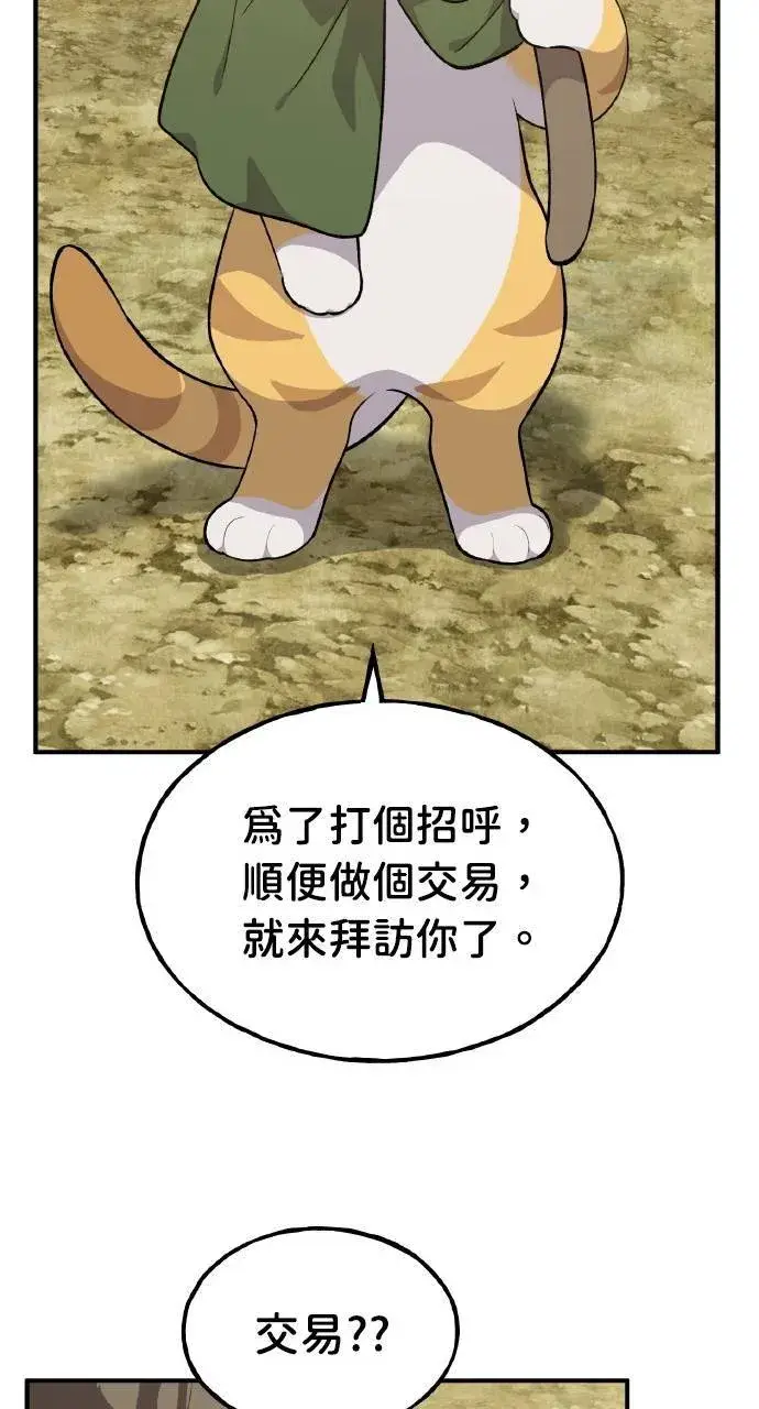 漫画《我独自在高塔种田》第11话 猫咪流浪商人泰奥第11张图
