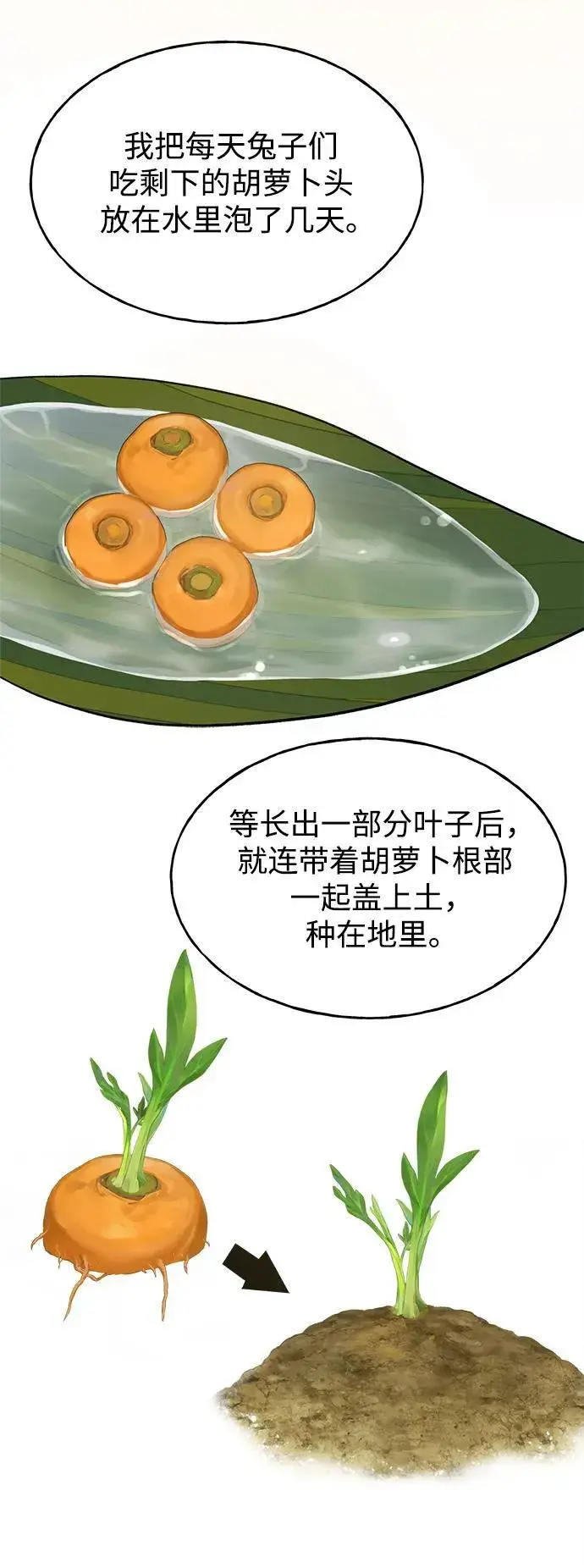 漫画《我独自在高塔种田》[第22话] 泰奥的才能第6张图
