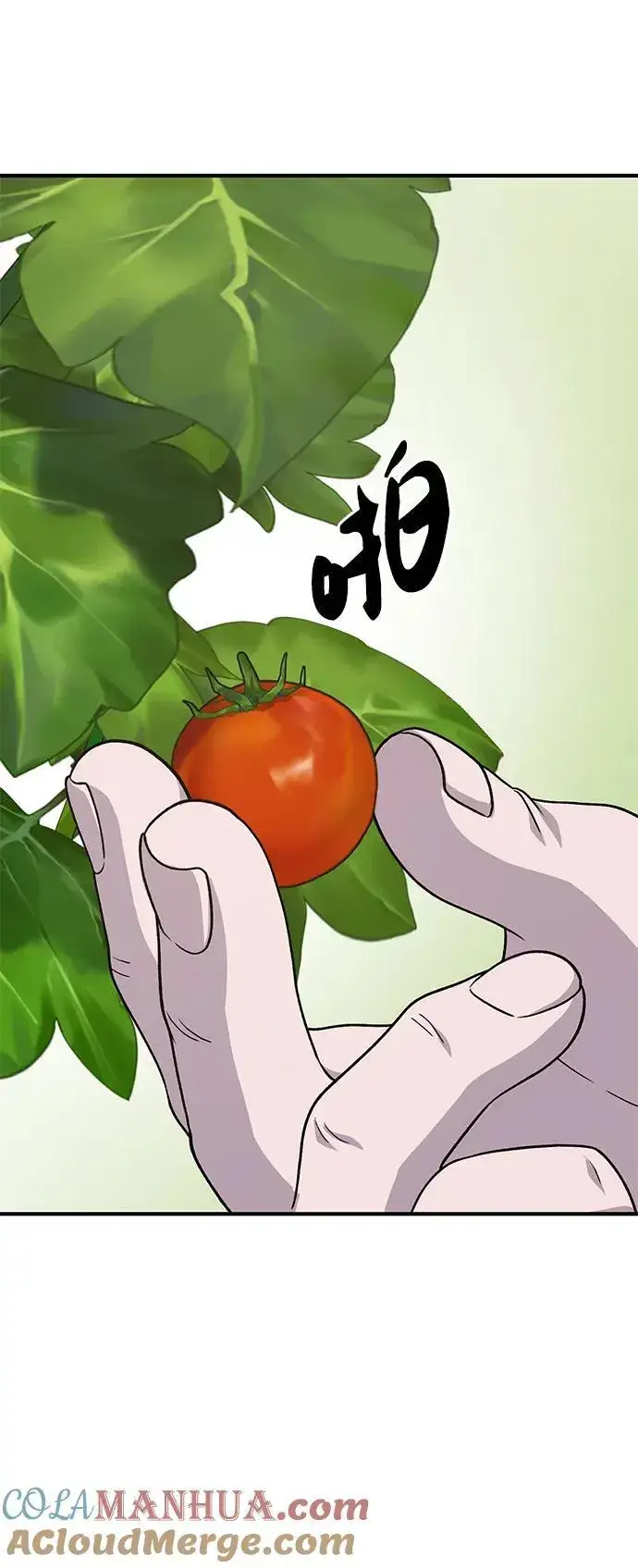 漫画《我独自在高塔种田》[第38话] 烤大龙虾第77张图