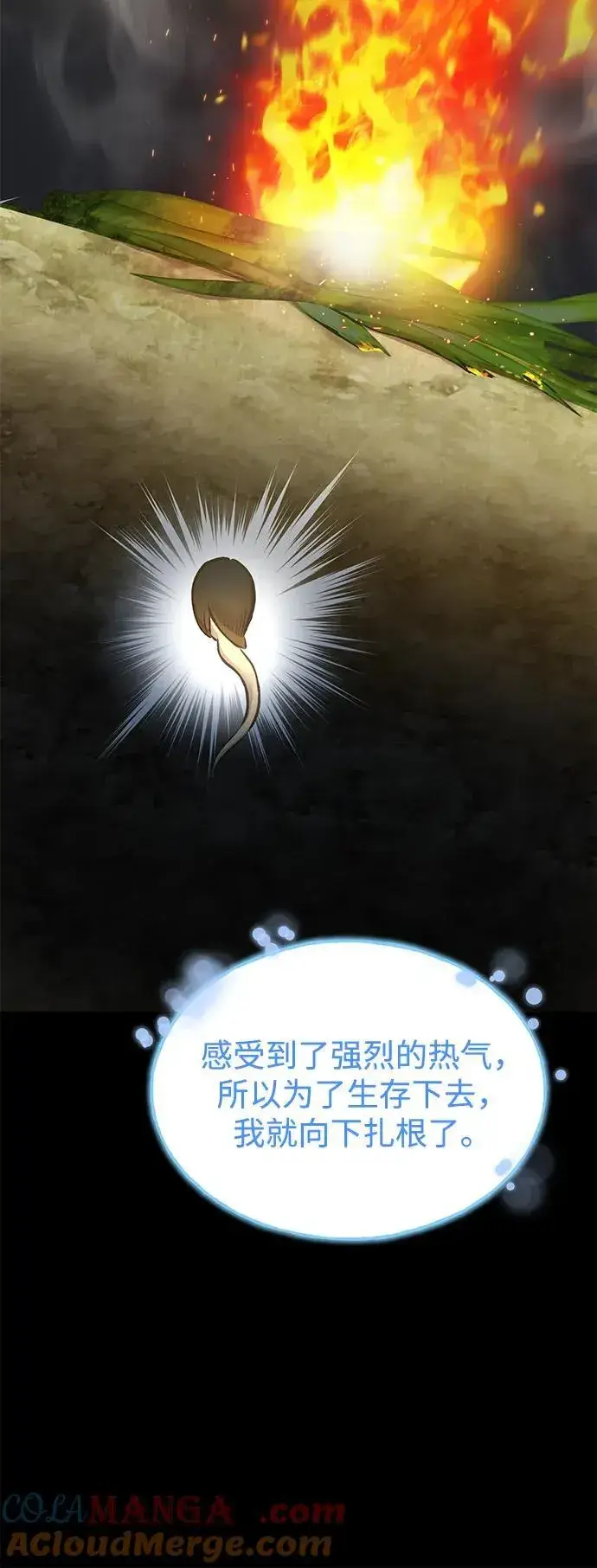漫画《我独自在高塔种田》[第73话] 火花苹果树第17张图