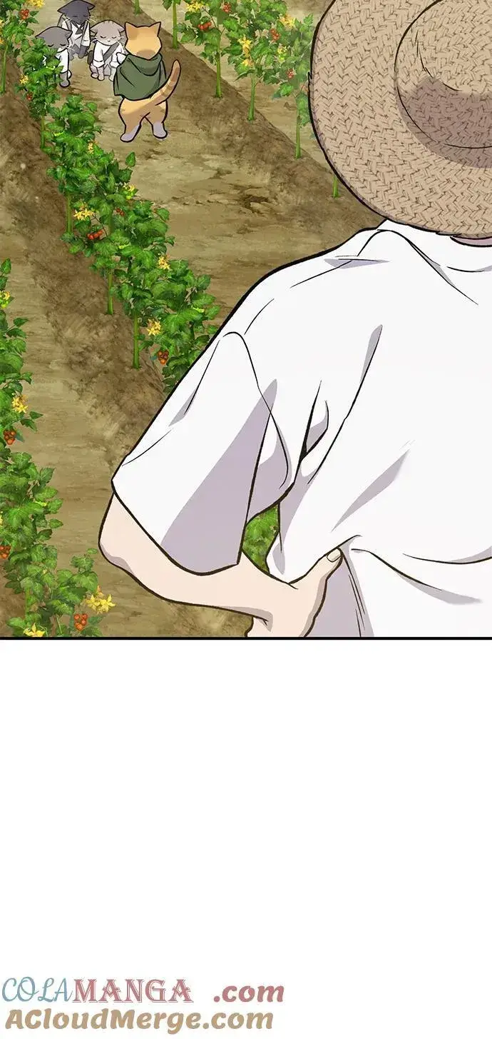漫画《我独自在高塔种田》[第77话] 有实习生了第113张图