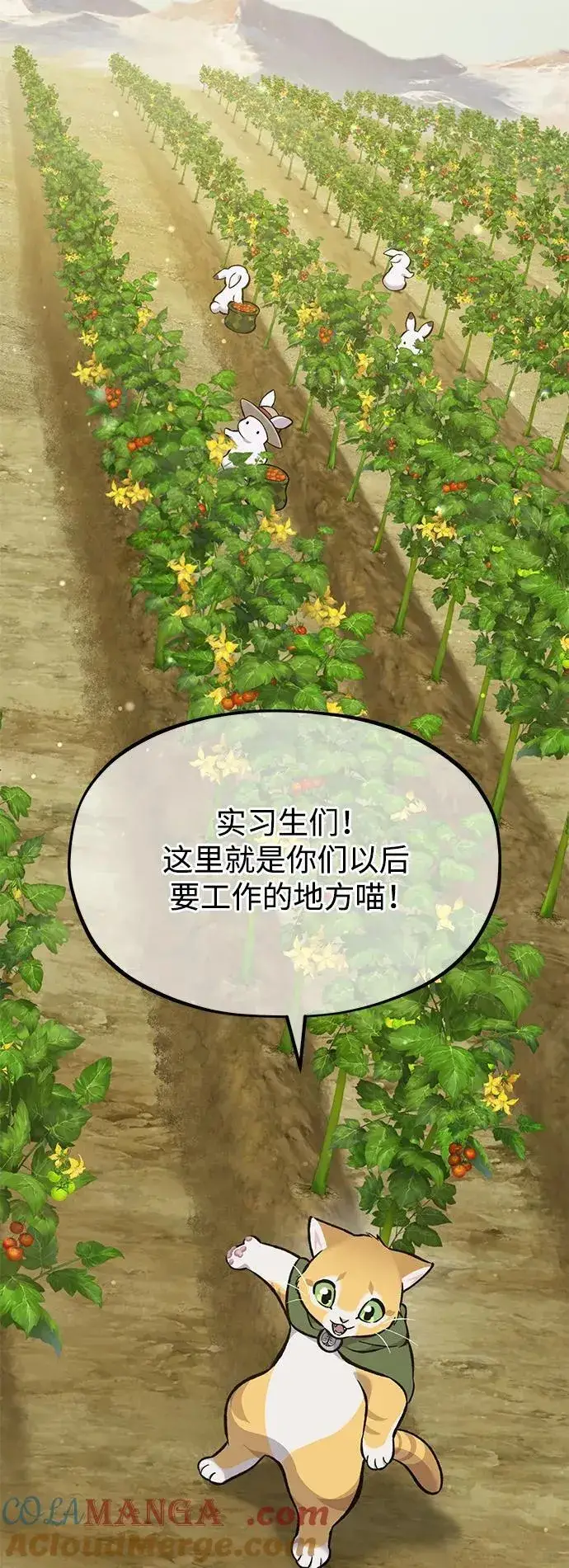 漫画《我独自在高塔种田》[第77话] 有实习生了第93张图