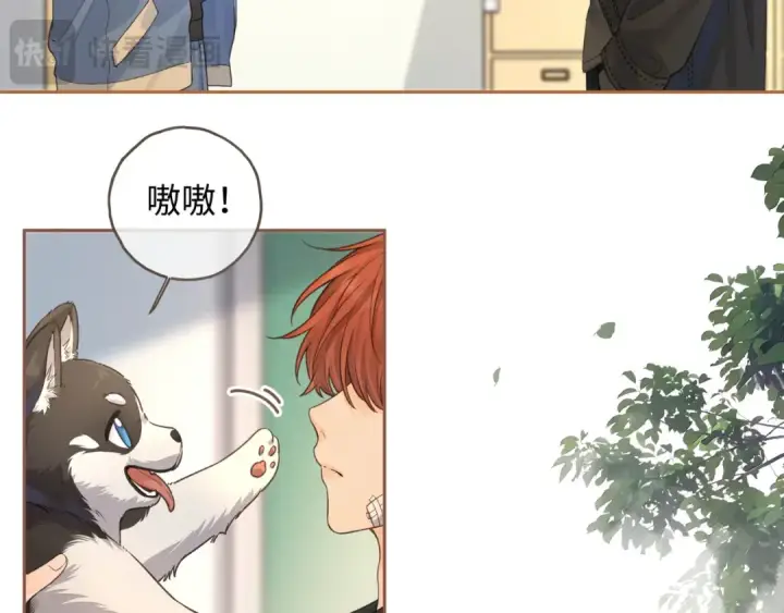 漫画《我就想蹭你的气运》第19话 口嫌体正直的关心第59张图