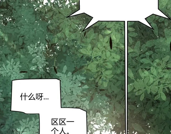 漫画《我来自游戏》第250话 一人成军的冲击第15张图