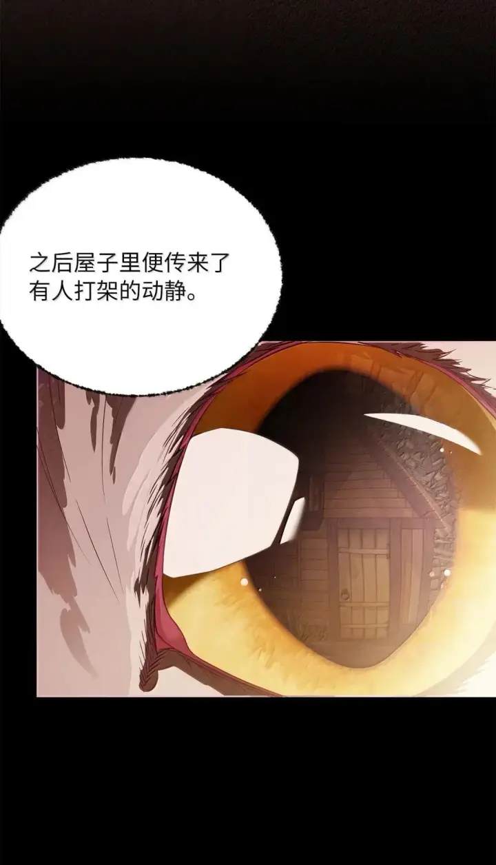 漫画《我是继母，但是女儿太可爱了》138 猫咪的情报第17张图