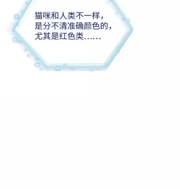 漫画《我是继母，但是女儿太可爱了》138 猫咪的情报第31张图