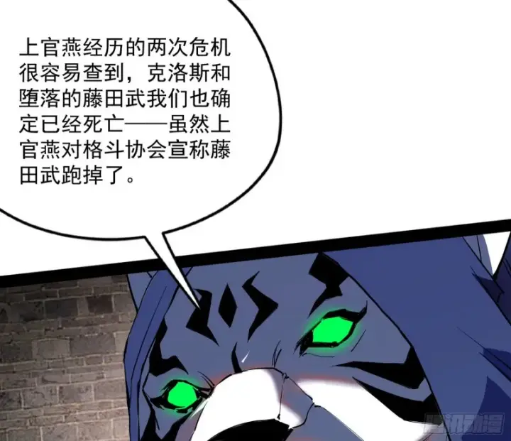 漫画《我为邪帝》神秘的S级格斗家第89张图