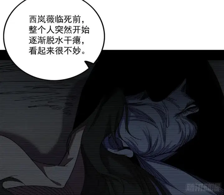 漫画《我为邪帝》西岚宝库第52张图