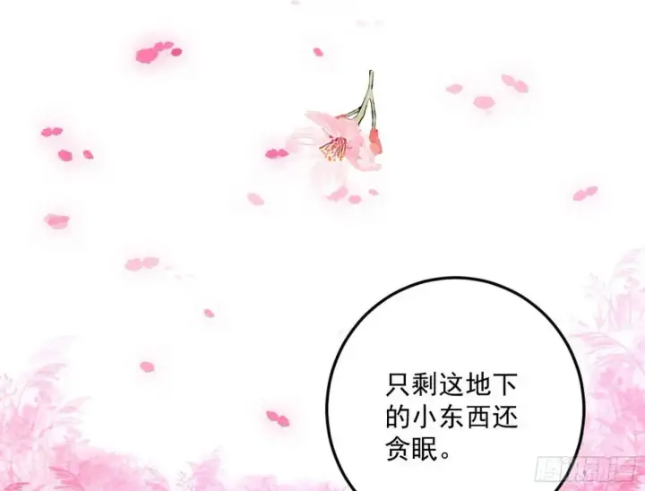 漫画《我为邪帝》练绮罗的理由和姬云涛的梦境第29张图