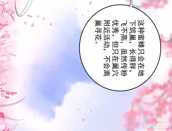 漫画《我为邪帝》练绮罗的理由和姬云涛的梦境第42张图