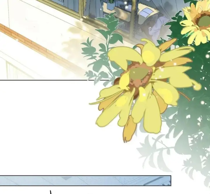 漫画《我喜欢你的信息素》91 机场送别第5张图
