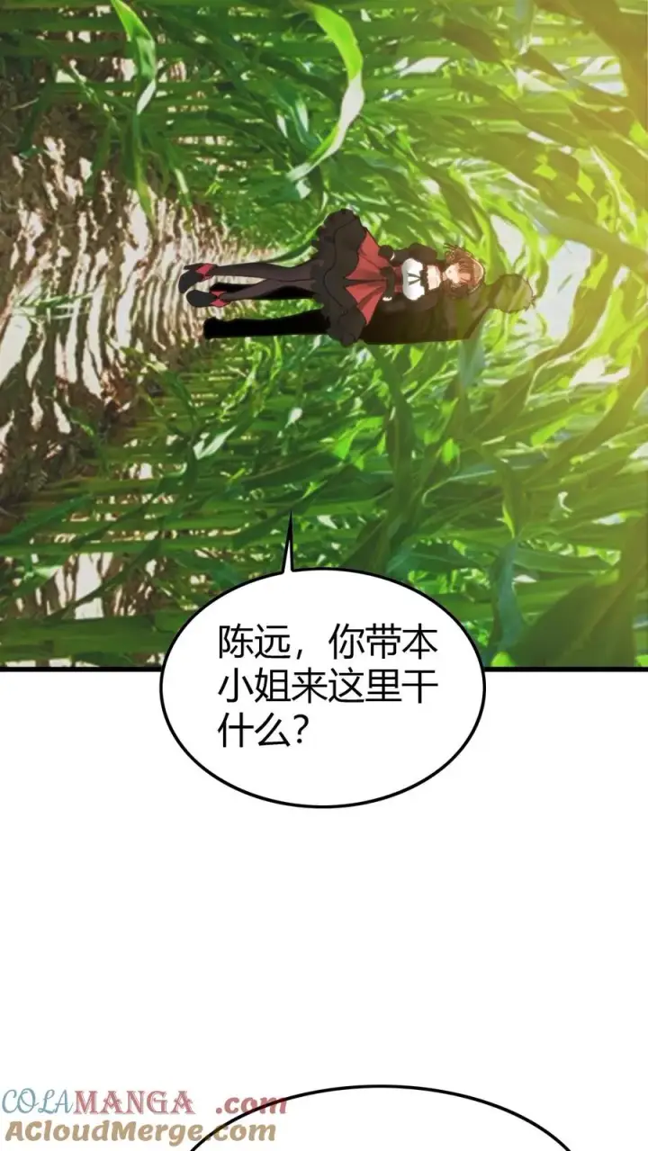 漫画《我有九千万亿舔狗金》第150话 老陈家关系真乱！第13张图