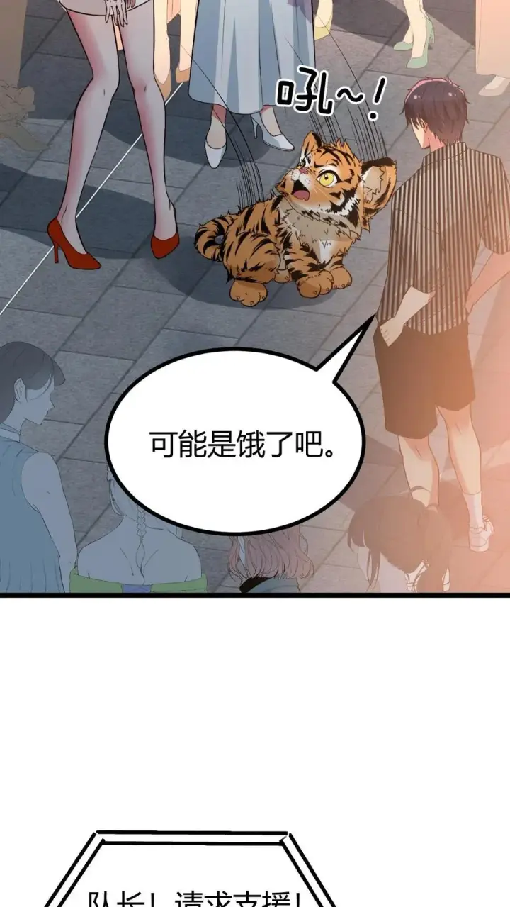 漫画《我有九千万亿舔狗金》第522话 小老虎！！第26张图