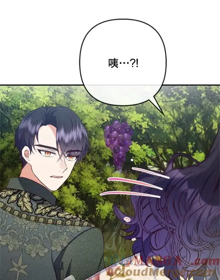 漫画《我在恶魔家的受宠生活》77.葡萄庄园（本季完）第109张图