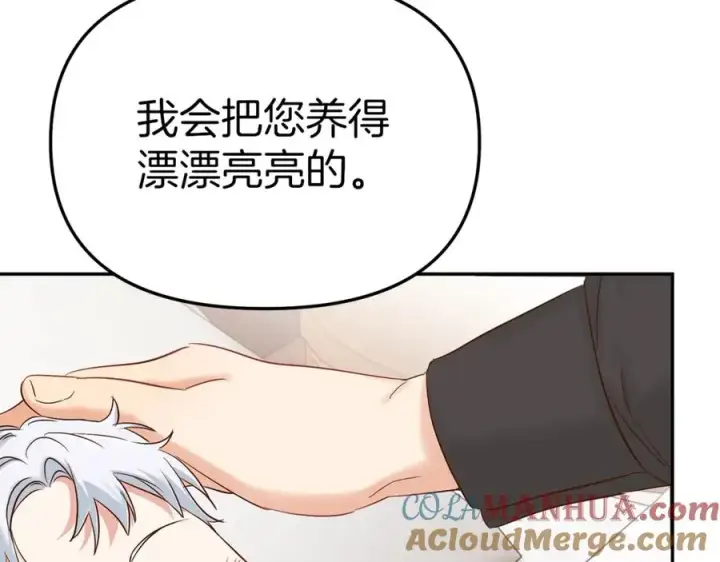 漫画《我在死敌家当团宠》第3话 才不让你扔掉我！第209张图