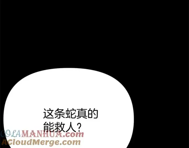 漫画《我在死敌家当团宠》第45话 记忆的代价第157张图