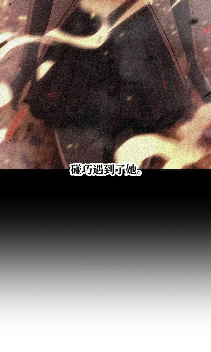 漫画《无法升级的玩家》062 另一个世界第27张图