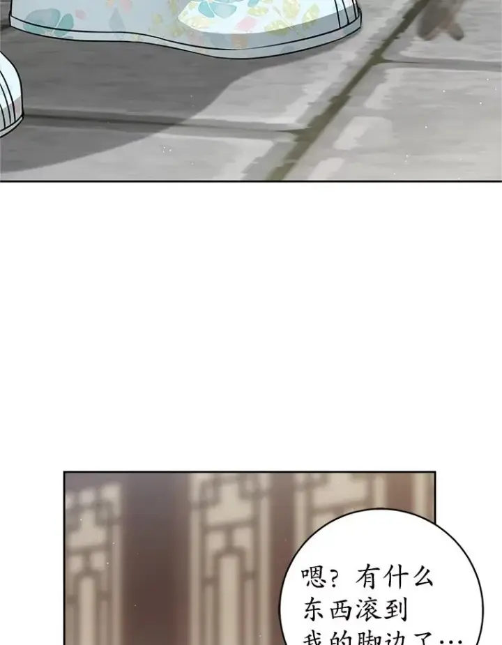 漫画《武林世家的失宠小孙女》68.冲突第115张图