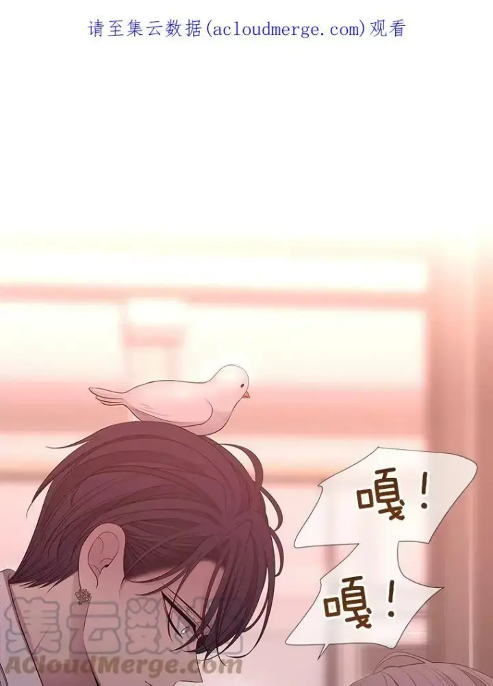 漫画《夏洛特与五门徒》123.追逐第71张图