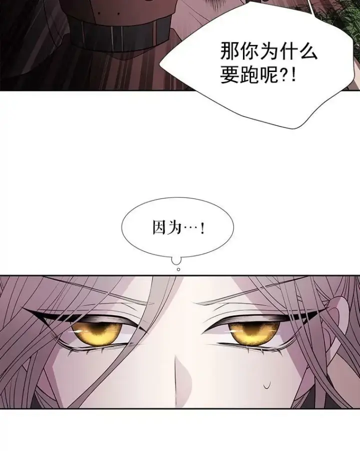 漫画《夏洛特与五门徒》22.超豪华阵容第42张图