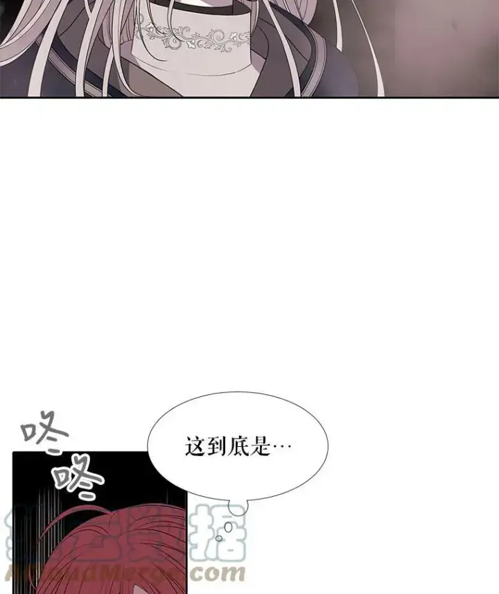 漫画《夏洛特与五门徒》49.不明魔兽第31张图
