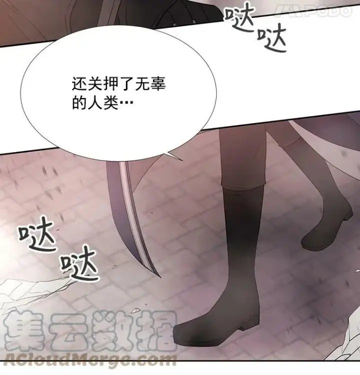 漫画《夏洛特与五门徒》49.不明魔兽第55张图