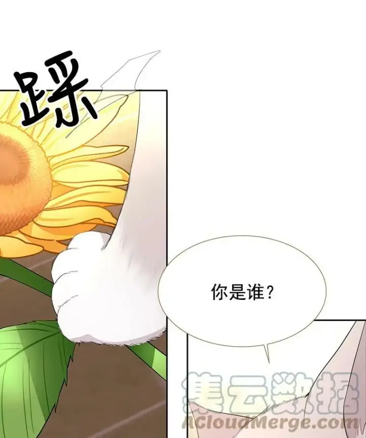 漫画《夏洛特与五门徒》60.变身四脚兽第52张图
