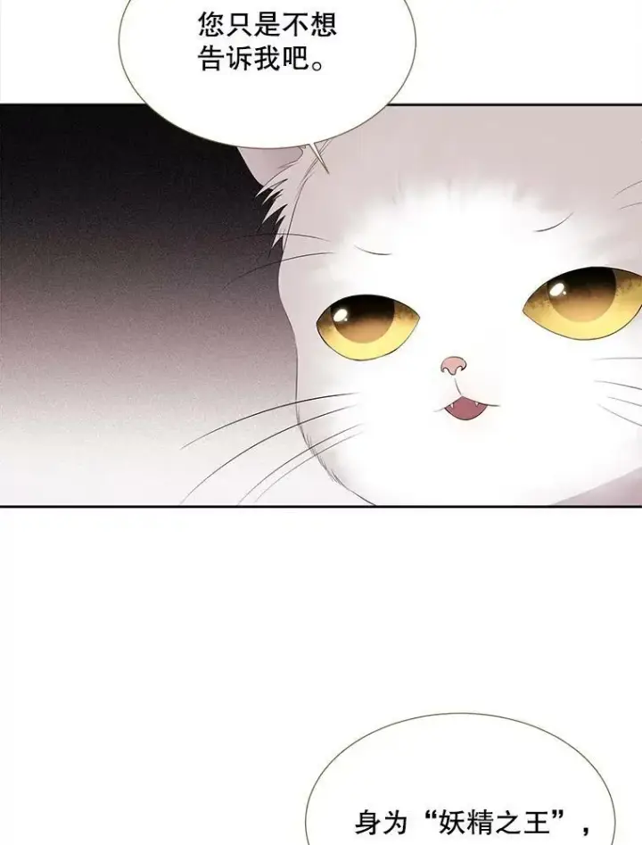 漫画《夏洛特与五门徒》61.妖精之王的第二次祝福第17张图
