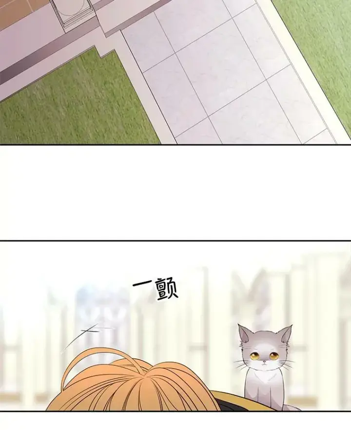漫画《夏洛特与五门徒》61.妖精之王的第二次祝福第38张图