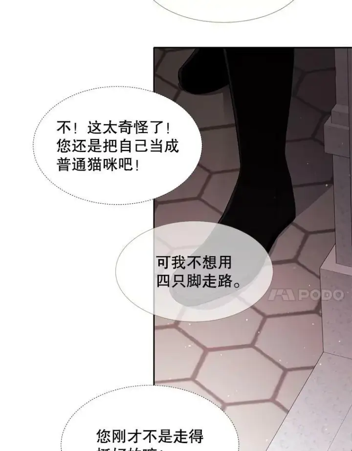 漫画《夏洛特与五门徒》62.再见埃文第11张图