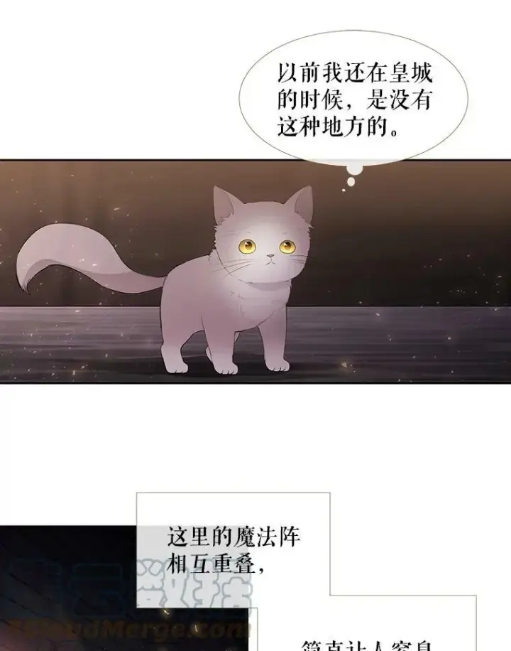 漫画《夏洛特与五门徒》62.再见埃文第55张图