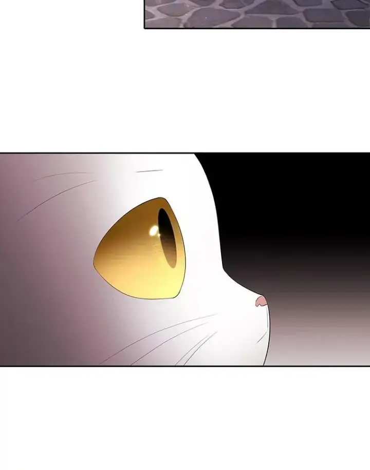 漫画《夏洛特与五门徒》62.再见埃文第60张图