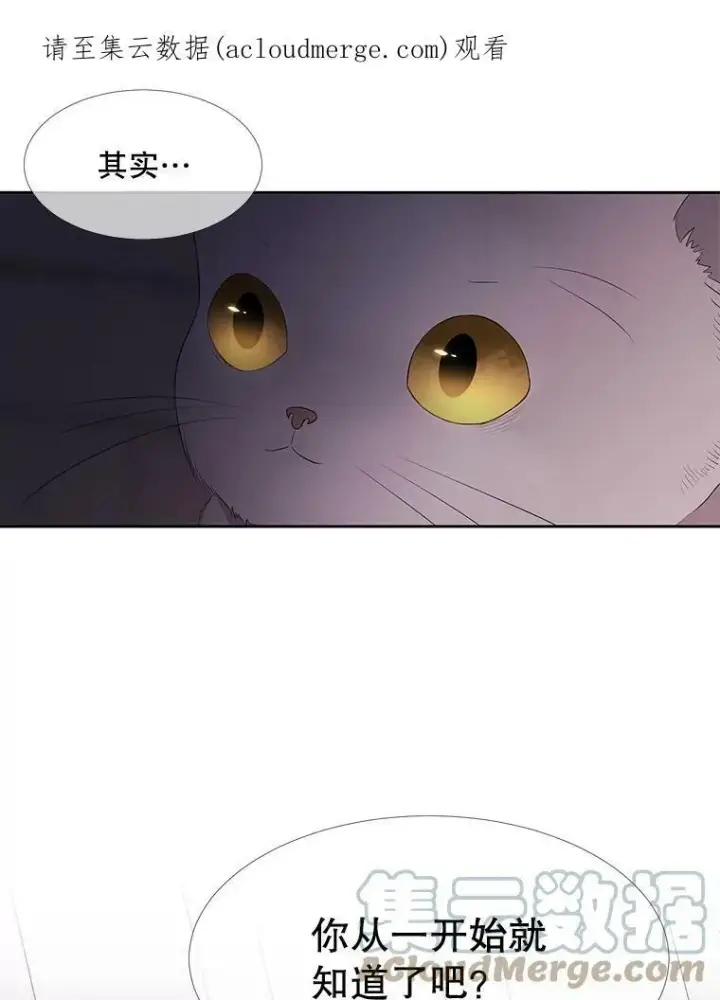 漫画《夏洛特与五门徒》62.再见埃文第80张图