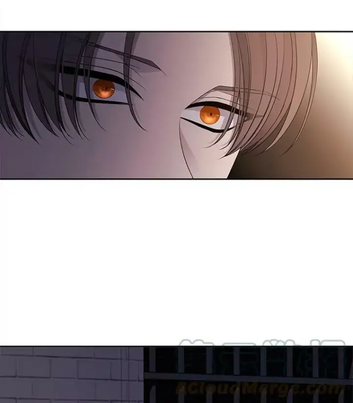 漫画《夏洛特与五门徒》64.越狱第25张图
